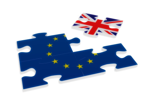 UK EU Puzzle