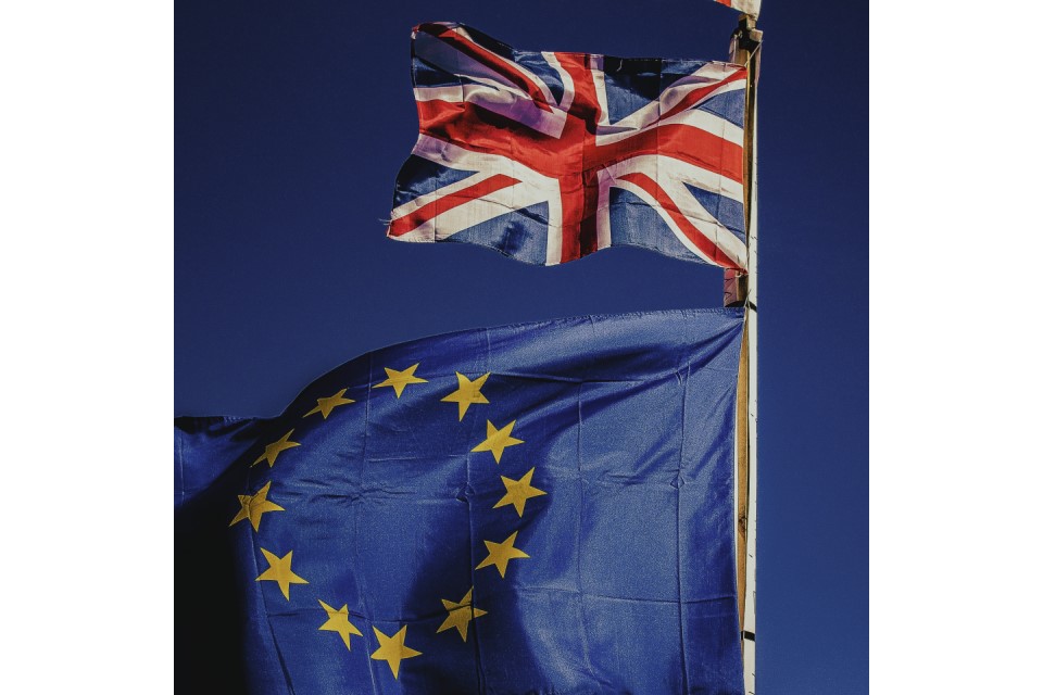 UK EU Flags